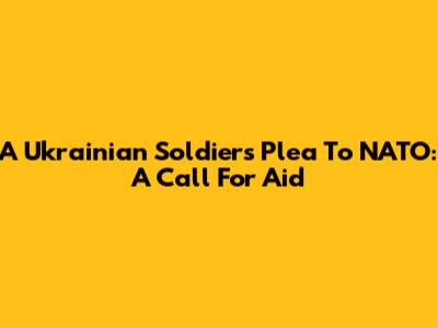 A Ukrainian Soldier's Plea To NATO: A Call For Aid