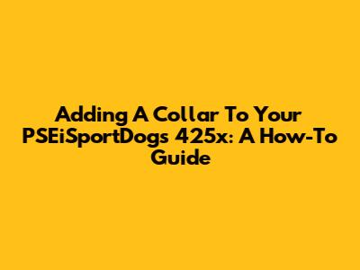 Adding A Collar To Your PSEiSportDogs 425x: A How-To Guide