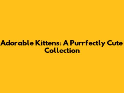 Adorable Kittens: A Purrfectly Cute Collection
