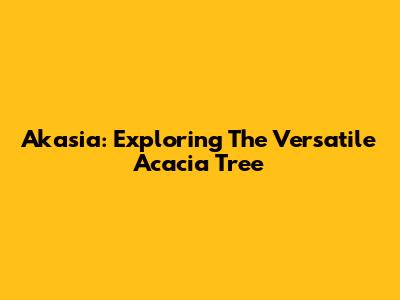 Akasia: Exploring The Versatile Acacia Tree