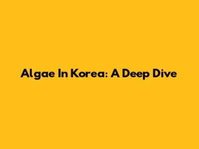 Algae In Korea: A Deep Dive