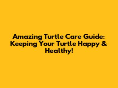 Amazing Turtle Care Guide: Keeping Your Turtle Happy & Healthy!