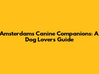Amsterdam's Canine Companions: A Dog Lover's Guide