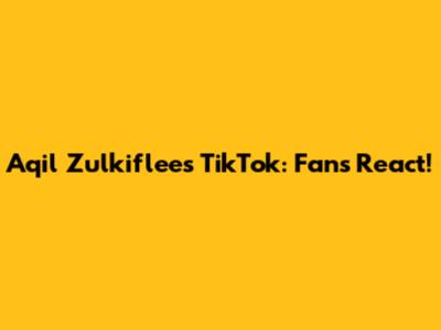 Aqil Zulkiflee's TikTok: Fans React!