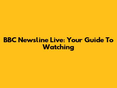 BBC Newsline Live: Your Guide To Watching