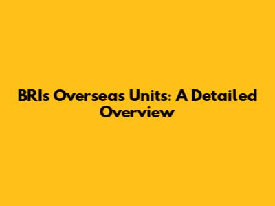 BRI's Overseas Units: A Detailed Overview