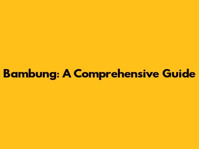 Bambung: A Comprehensive Guide