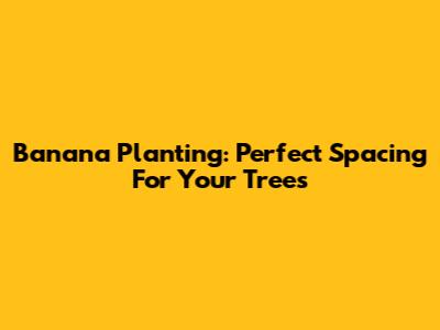 Banana Planting: Perfect Spacing For Your Trees