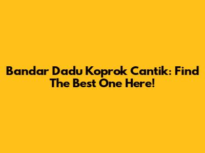 Bandar Dadu Koprok Cantik: Find The Best One Here!