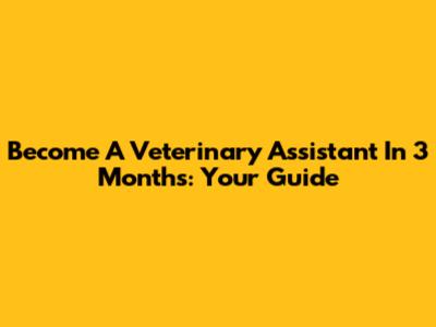 Become A Veterinary Assistant In 3 Months: Your Guide