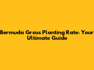 Bermuda Grass Planting Rate: Your Ultimate Guide