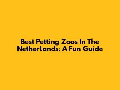 Best Petting Zoos In The Netherlands: A Fun Guide