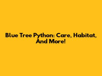 Blue Tree Python: Care, Habitat, And More!