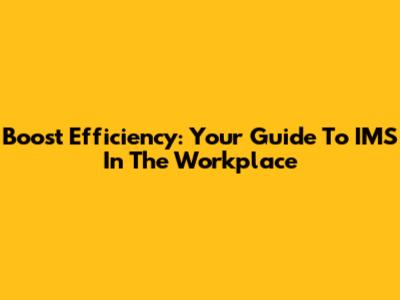 Boost Efficiency: Your Guide To IMS In The Workplace