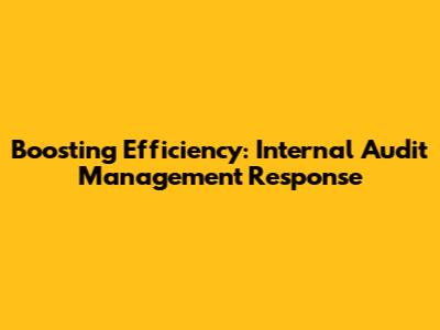 Boosting Efficiency: Internal Audit Management Response