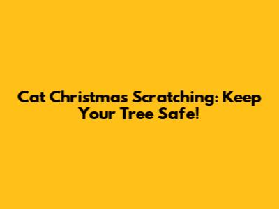 Cat Christmas Scratching: Keep Your Tree Safe!