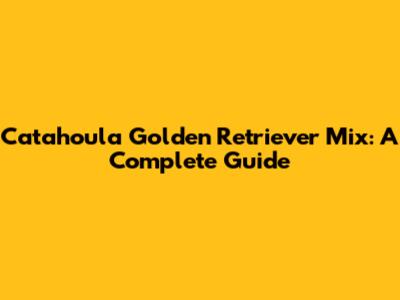 Catahoula Golden Retriever Mix: A Complete Guide