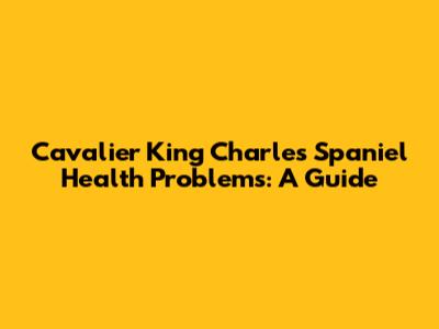 Cavalier King Charles Spaniel Health Problems: A Guide