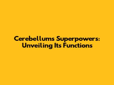 Cerebellum's Superpowers: Unveiling Its Functions