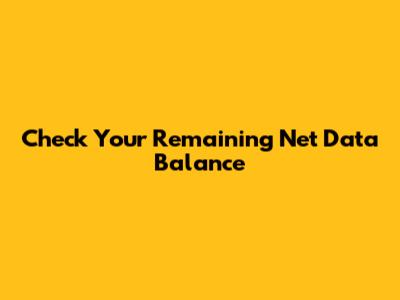 Check Your Remaining Net Data Balance