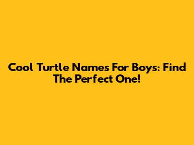 Cool Turtle Names For Boys: Find The Perfect One!