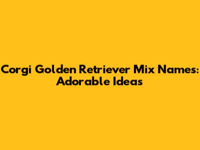 Corgi Golden Retriever Mix Names: Adorable Ideas