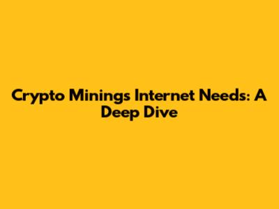 Crypto Mining's Internet Needs: A Deep Dive