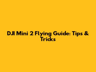 DJI Mini 2 Flying Guide: Tips & Tricks