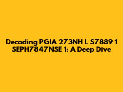 Decoding PGIA 273NH L S7889 1 SEPH7847NSE 1: A Deep Dive