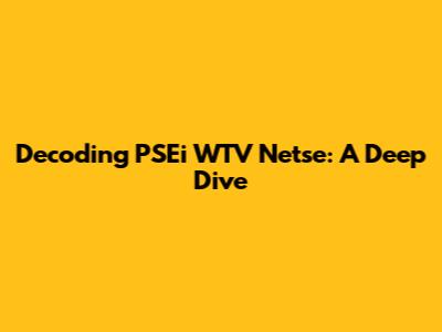 Decoding PSEi WTV Netse: A Deep Dive