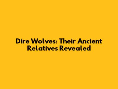 Dire Wolves: Their Ancient Relatives Revealed