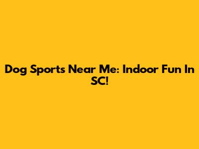 Dog Sports Near Me: Indoor Fun In SC!