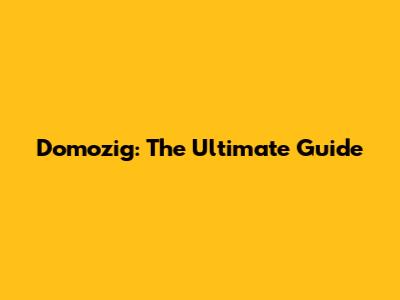 Domozig: The Ultimate Guide