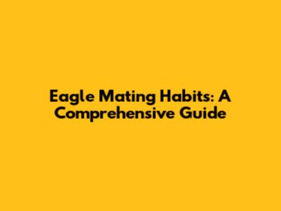 Eagle Mating Habits: A Comprehensive Guide
