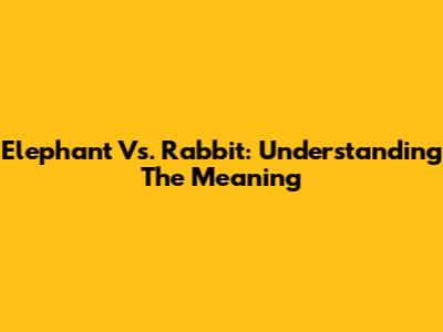Elephant Vs. Rabbit: Understanding The Meaning