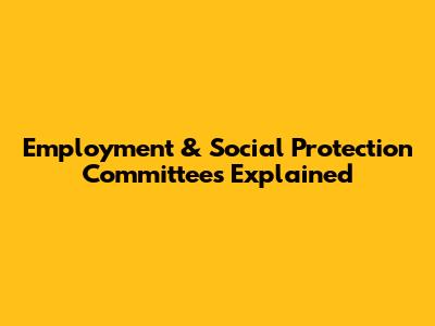Employment & Social Protection Committees Explained