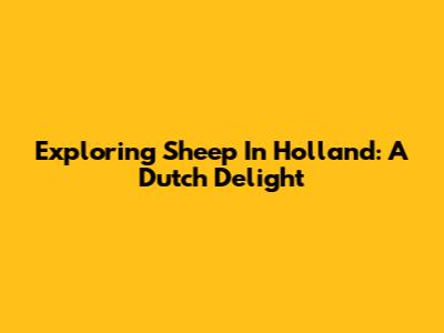 Exploring Sheep In Holland: A Dutch Delight