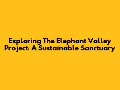 Exploring The Elephant Valley Project: A Sustainable Sanctuary