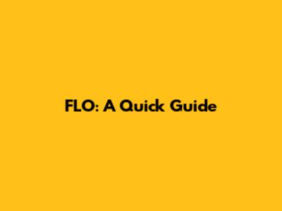 FLO: A Quick Guide