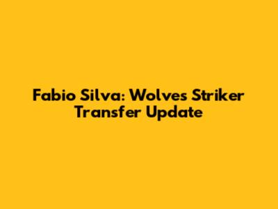 Fabio Silva: Wolves Striker Transfer Update