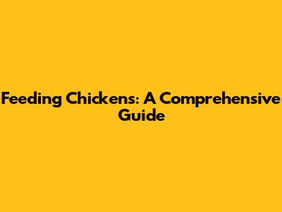 Feeding Chickens: A Comprehensive Guide