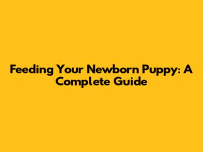 Feeding Your Newborn Puppy: A Complete Guide