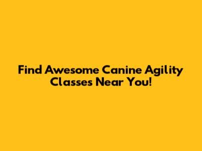 Find Awesome Canine Agility Classes Near You!