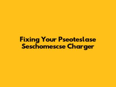 Fixing Your Pseoteslase Seschomescse Charger