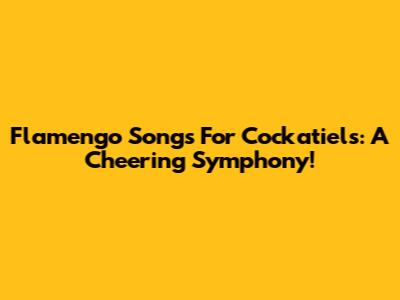 Flamengo Songs For Cockatiels: A Cheering Symphony!