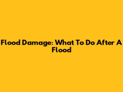 Flood Damage: What To Do After A Flood