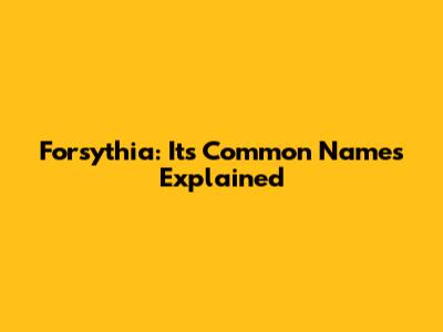 Forsythia: Its Common Names Explained