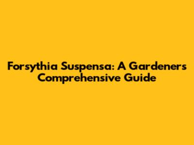Forsythia Suspensa: A Gardener's Comprehensive Guide