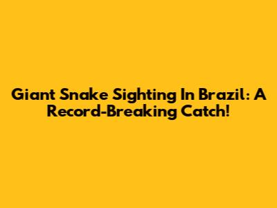 Giant Snake Sighting In Brazil: A Record-Breaking Catch!