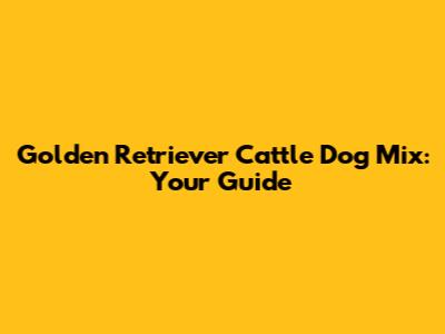 Golden Retriever Cattle Dog Mix: Your Guide